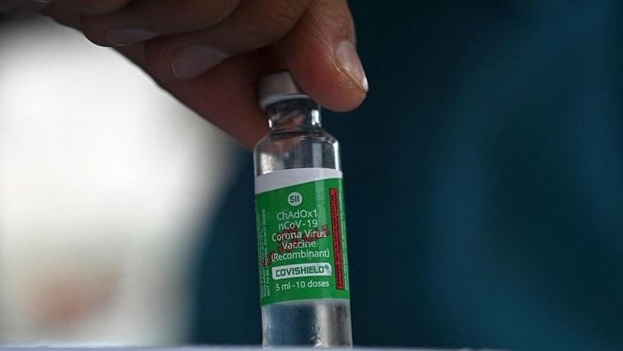 During his interventions in different sessions, Singh informed that India under the "Vaccine Maitri" initiative is providing Covid-19 vaccines to countries around the world. Credit: Reuters Photo