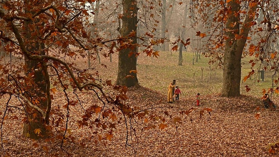 Representative Image. Credit: AFP File Photo