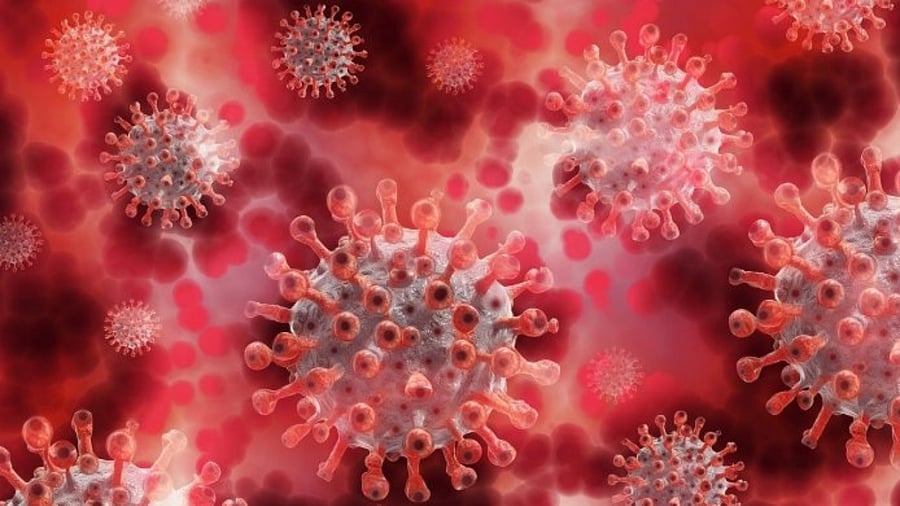 Representative image. Credit: Pixabay Photo