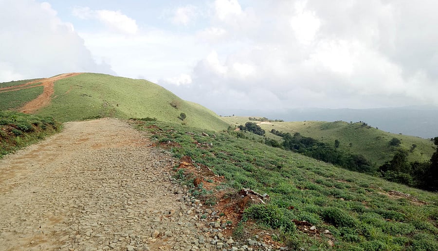 Mandalpatti hillock in Madikeri.