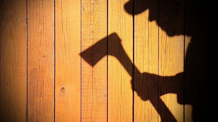 Representative picture. Credit: iStock Images