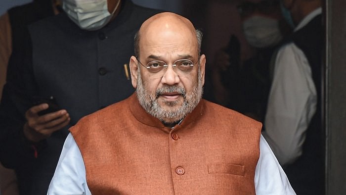 Union Home Minister Amit Shah. Credit: PTI Photo
