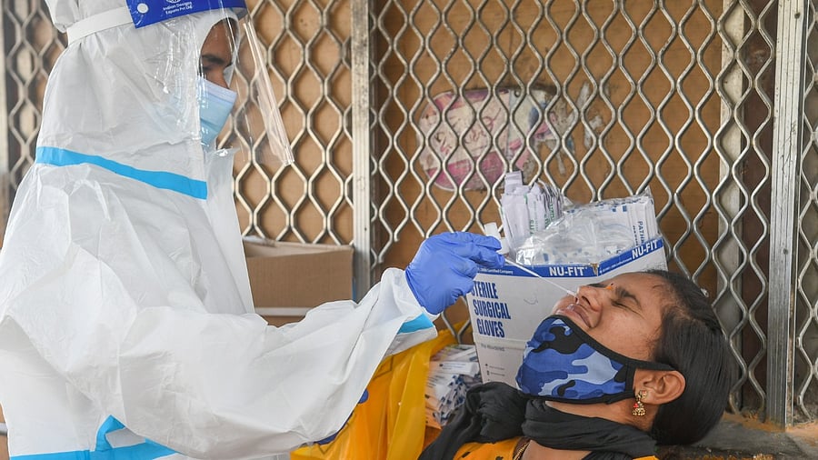 Representative Image. Credit: DH File Photo/S K Dinesh