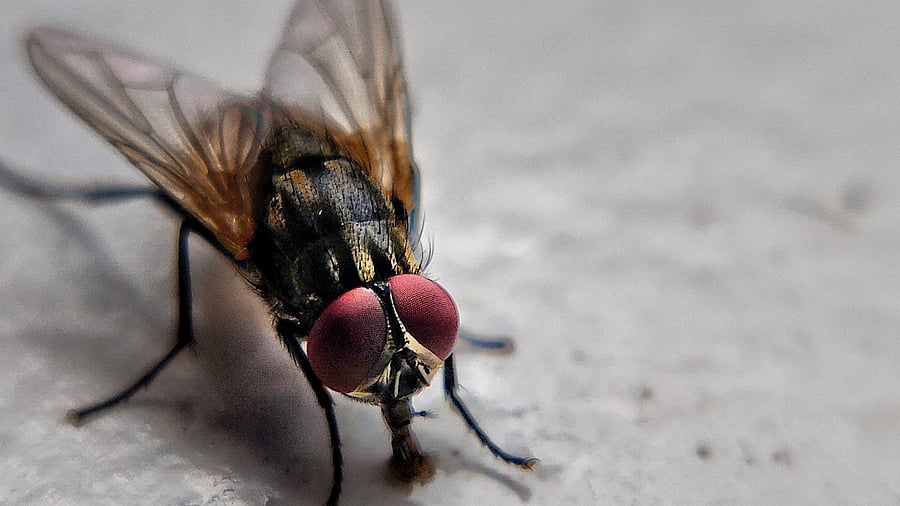 Representative image. Credit: iStock photo