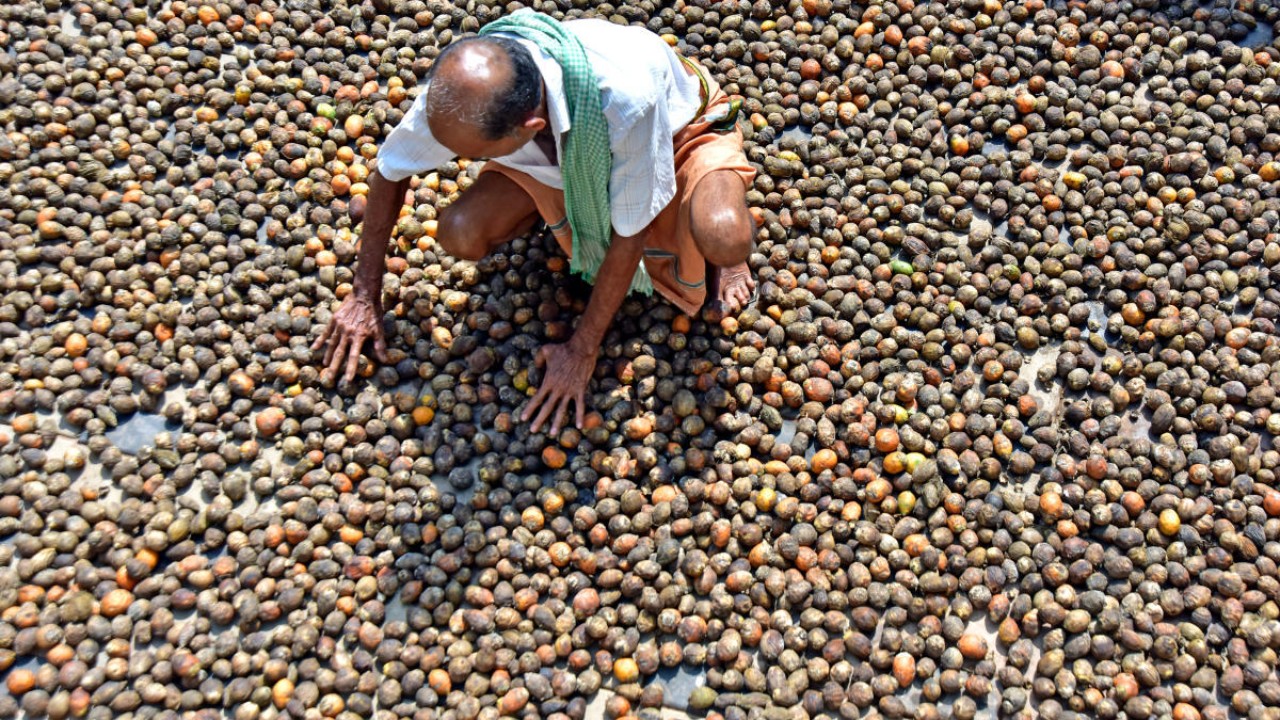 <div class="paragraphs"><p>Representative image of a farmer.</p></div>