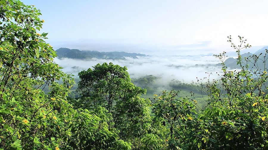 Representative Image. Credit: Pixabay Photo