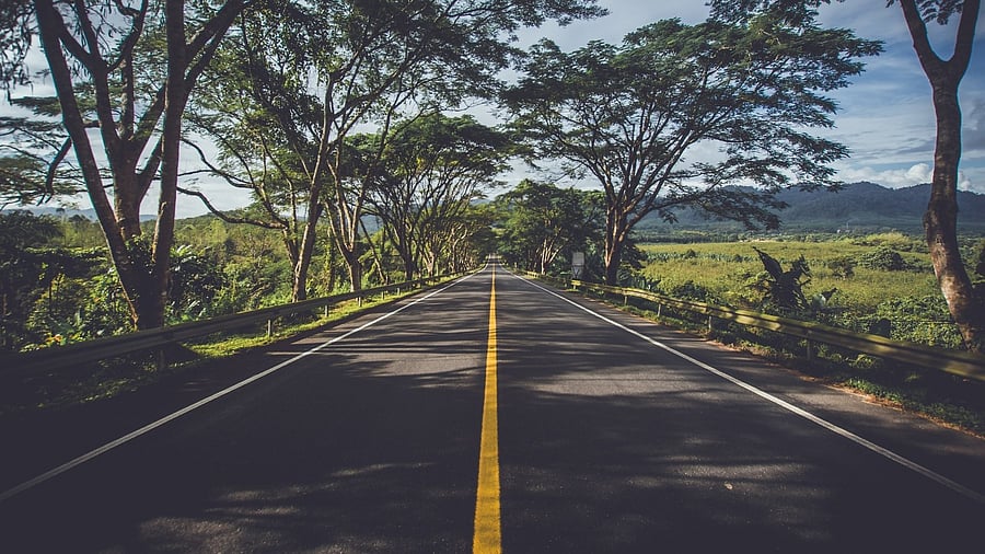 Representative image. Credit: Pixabay Photo