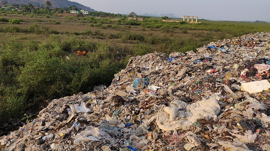 Last Tuesday, the Court finally directed the Advocate General to take up the issue with the State Environment Minister and resolve it. Credit: DH Photo