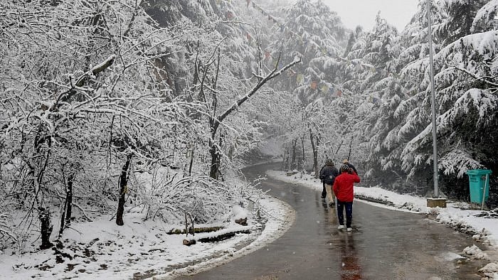 Over the recent years, there have been complaints that tourists were being overcharged and exploited by transporters, hoteliers, and other service providers during peak season in Kashmir. Credit: PTI File Photo