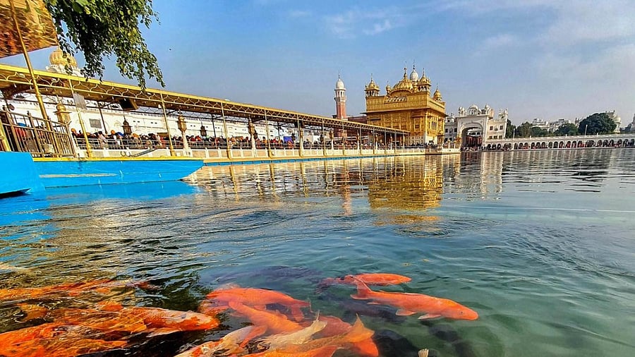 On Saturday evening, an unidentified man was caught and beaten to death after he allegedly attempted to commit “sacrilege” at the Golden Temple in Amritsar. Credit: PTI Photo