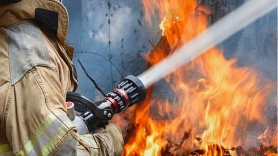 Representative Image. Credit: iStock Photo