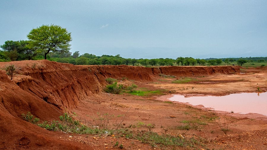 Representative image. Credit: DH Photo