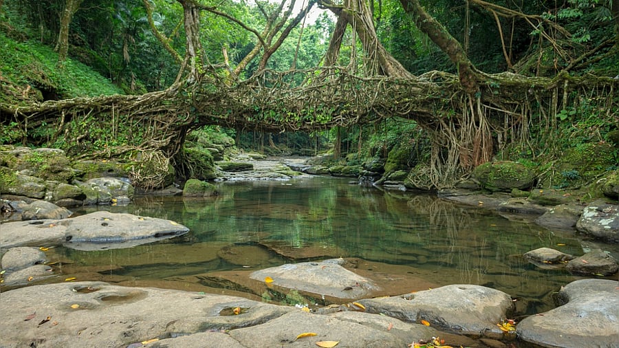 Jingkieng Jris of Meghalaya. Credit: iStock Photo