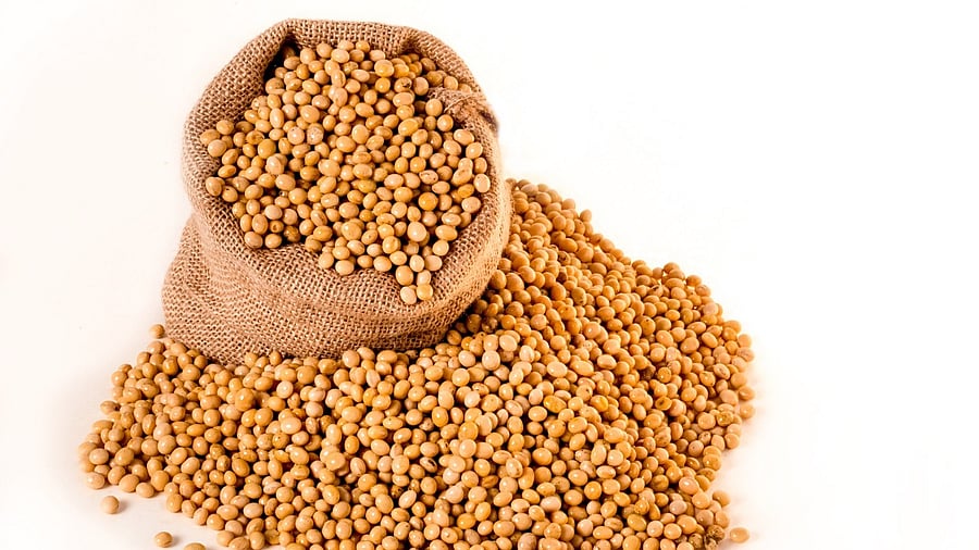 Soyameal processors, millers and plant owners can hold a maximum stock of 90 days production and they are required to declare the storage location. Credit: Pixabay Photo