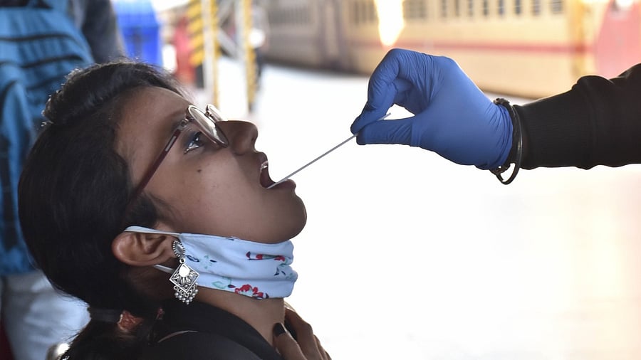 Representative Image. Credit: DH File Photo/B K Janardhan