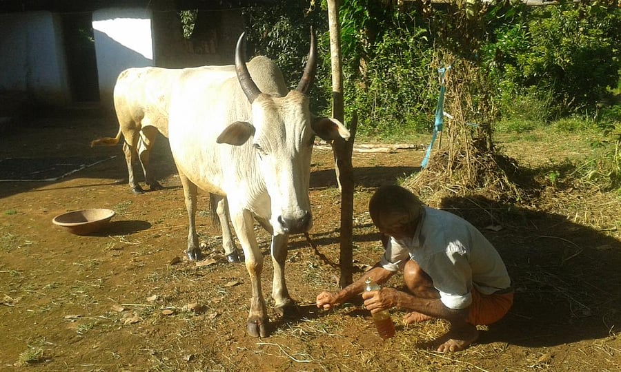 Representative image.