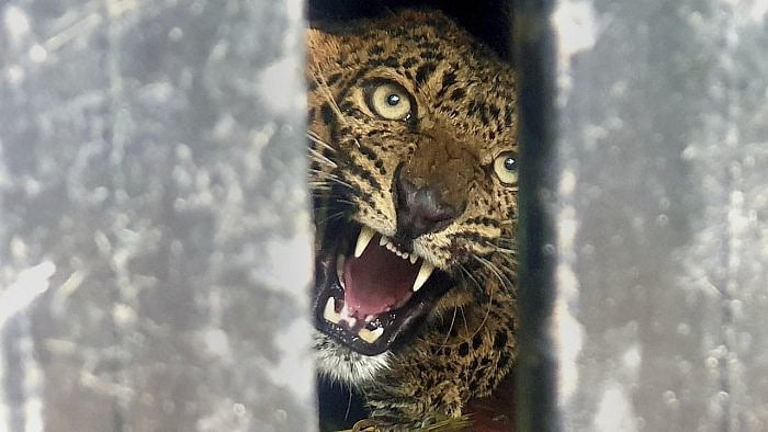 Representative picture. Credit: PTI Photo