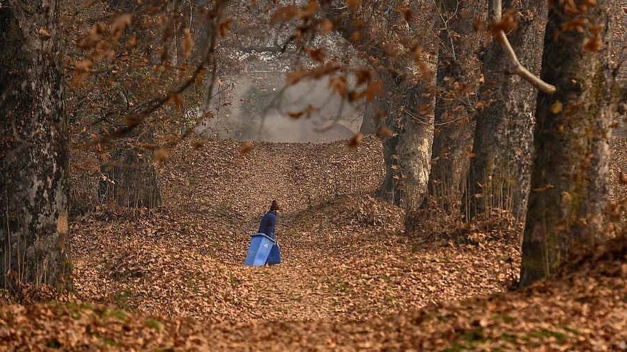 Kashmir valley’s population is nearly 1.6 million more than Jammu’s. Credit: AFP File Photo