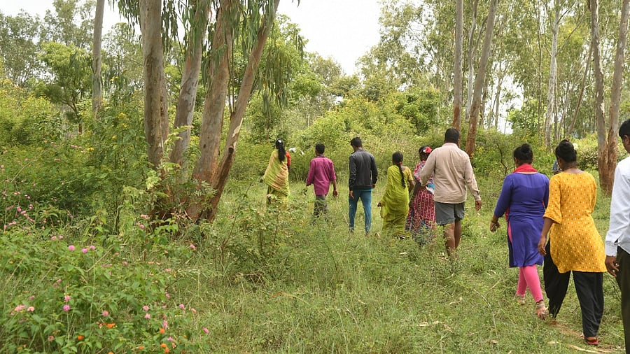 Representative Image. Credit: DH File Photo