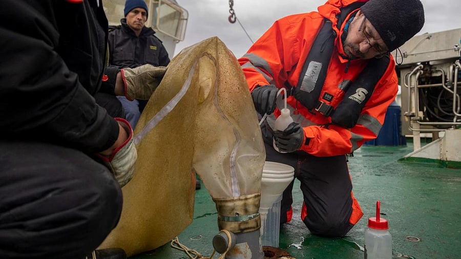 Scientist Maximo Frangopulos (R), researcher at the University of Magallanes (UMAG), collects phytoplankton samples from a net in the Magallanes region, Chile. Credit: AFP Photo