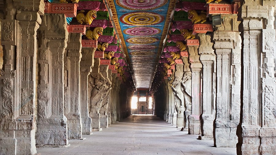 Representative image. Credit: iStock photo