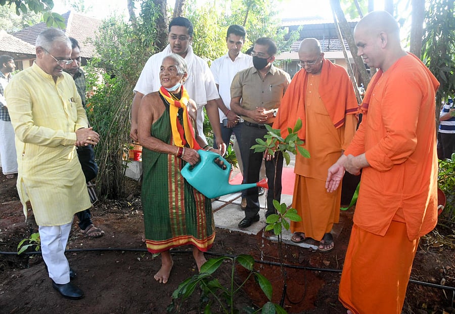 Padma Shri awardee Tulasi Gowda waters a sapling after inaugurating Vivekananda Vrukshalaya at Ramakrishna Mutt in Mangaluru. DH Photo