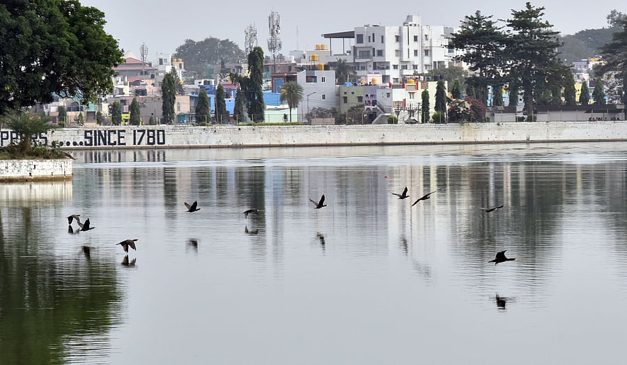 Ulsoor Lake, Credit: DH Photo
