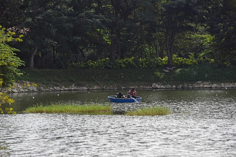 A view of Kundalahalli Lake developed and maintained by residents and BBMP in Bengaluru. Credit: DH Photo