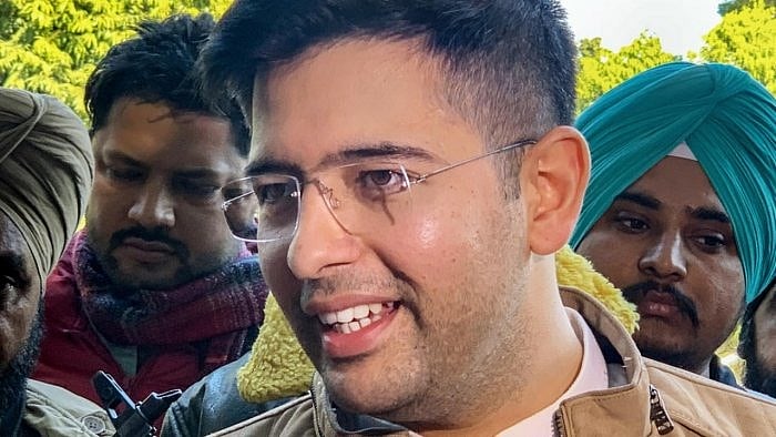 Raghav Chadha. Credit: PTI photo