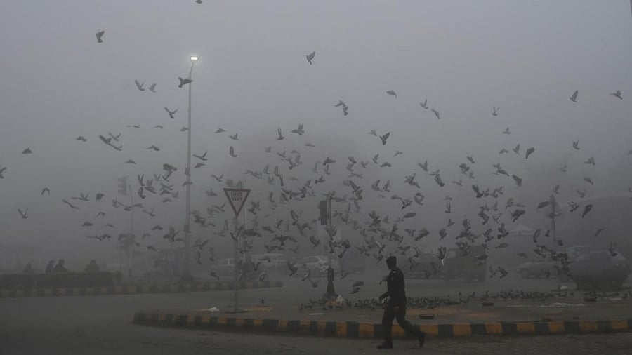 Representative image. Credit: AFP photo