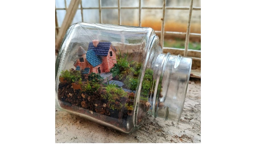 A design by Bangalore Terrarium. You can set up terrariums in pickle bottles and goldfish bowls. Credit: Special Arrangement