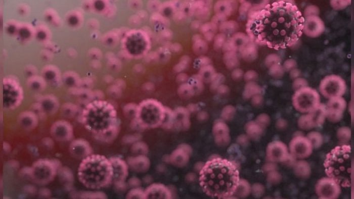 Transmission rates among unvaccinated people were higher with BA.2 compared to BA.1, indicating unvaccinated people were carrying a higher viral load with BA.2. Credit: iStock Photo