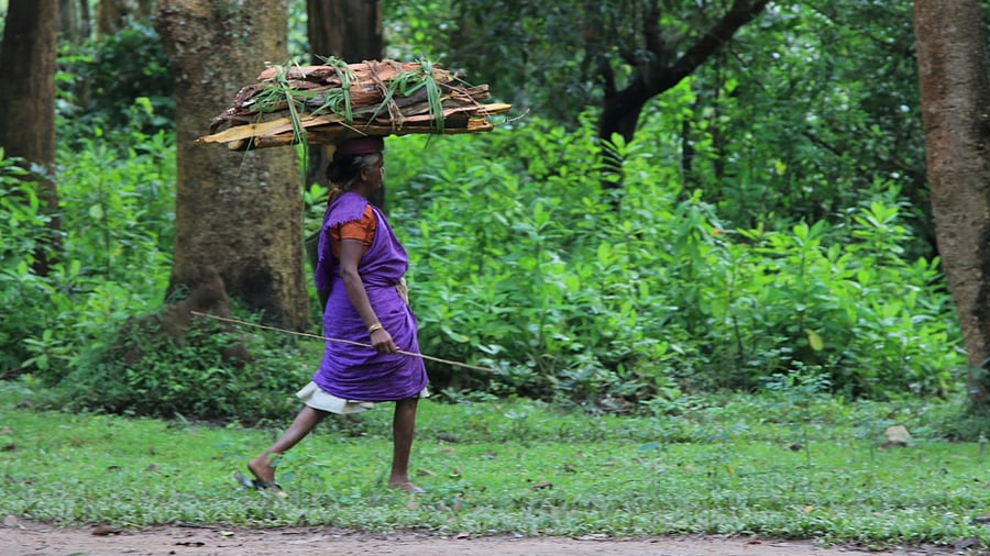 Representative picture. Credit: Getty Images