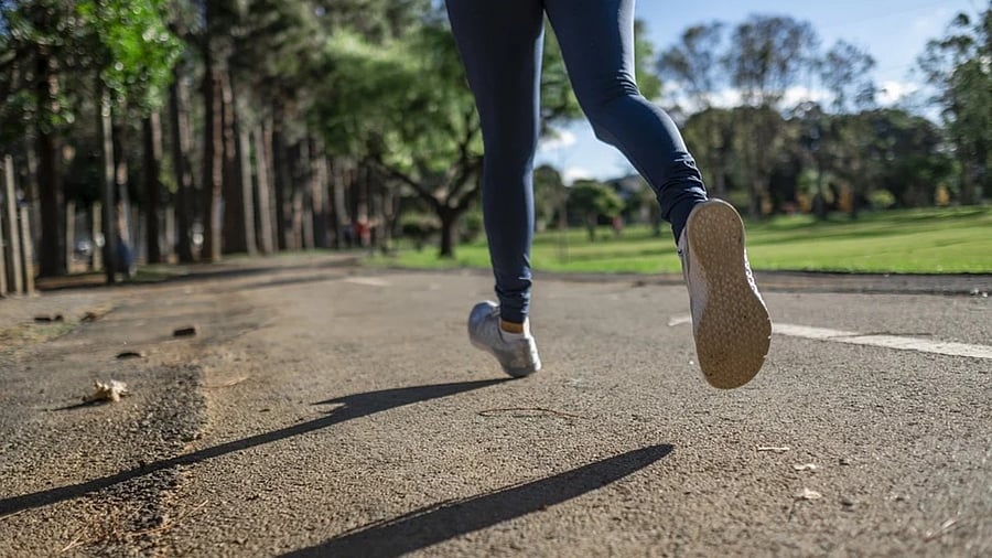 Representative image. Credit: Pixabay Photo