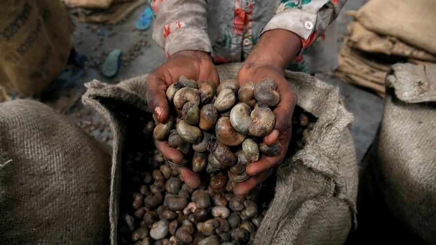 Representative image. Credit: Reuters file photo