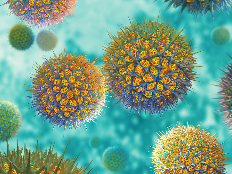 Representative image. iStock