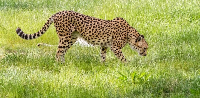 Representative Image. Credit: iStock Photo