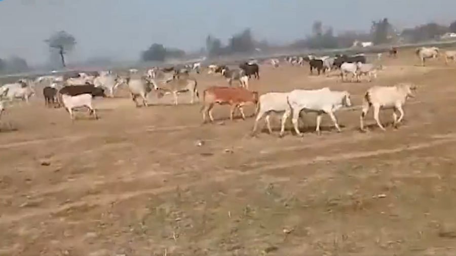 Screengrab from the video. Credit: Twitter/@Editorji