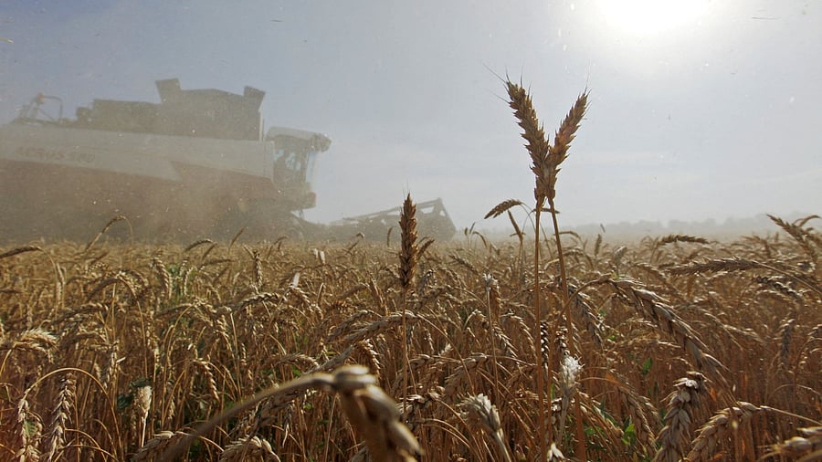 Representative Image. Credit: Reuters File Photo