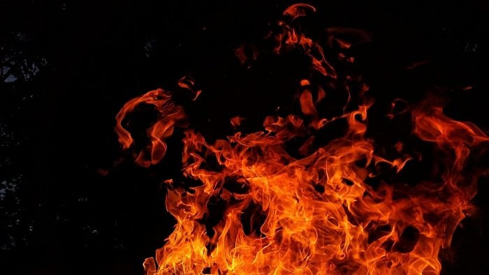 Representative image. Credit: Pixabay Photo