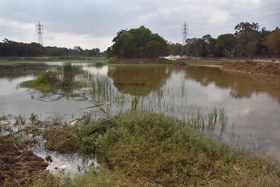 Puttenahalli Lake near Yelahanka. Credit: DH File Photo
