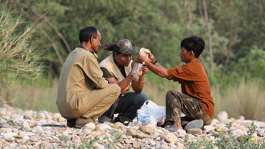 Kahini Ghosh Mehta loves working in wildlife conservation. Credit: Kahini Ghosh Mehta