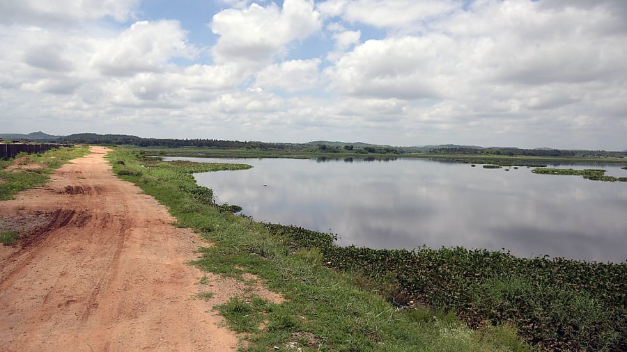 A view of the polluted Vrishabhavathi River. Credit: DH File Photo