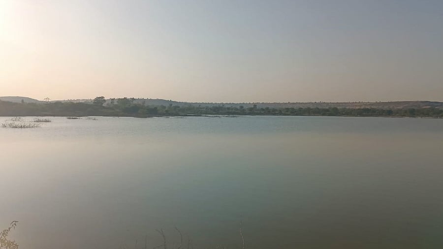 Representative Image. Credit: DH Photo