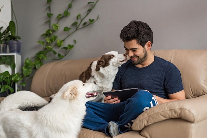 raining our dogs to be able to spend time alone is also important to avoid problematic separation-related behaviour. Credit: iStock Photo
