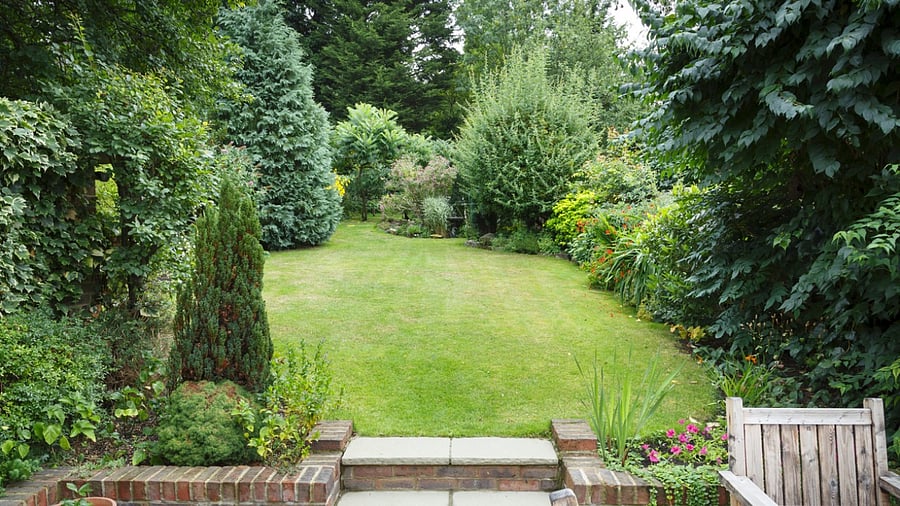 Representative image. Credit: iStock Photo