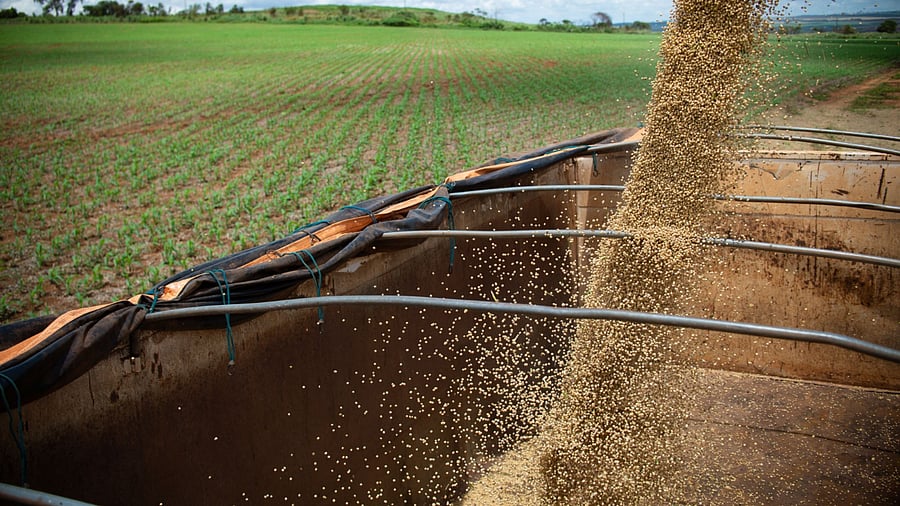 The world was already contending with rising hunger after the pandemic’s blow and droughts that parched crops in key growing regions. Credit: Bloomberg Photo