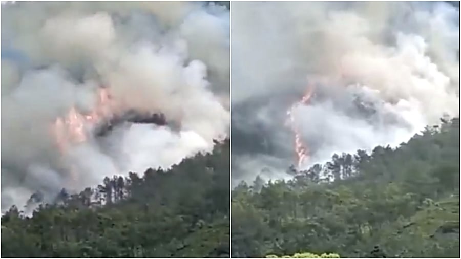 The tracker showed the plane had sharply dropped from an altitude of 29,100 feet to 3,225 feet in the span of three minutes before flight information stopped. Credit: Twitter/@PrateekPratap5