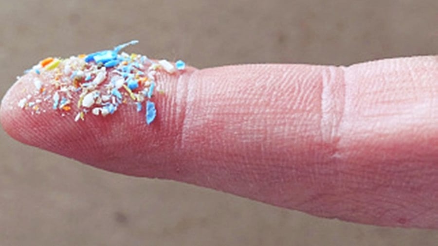 The tiny pieces of mostly invisible plastic have already been found almost everywhere else on Earth. Credit: IANS Photo