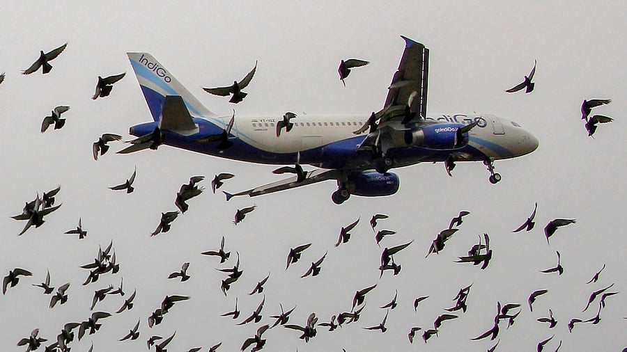 Representative image. Credit: PTI file photo
